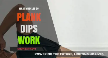 Plank Dips: Targeted Muscles and Benefits for Core Strength