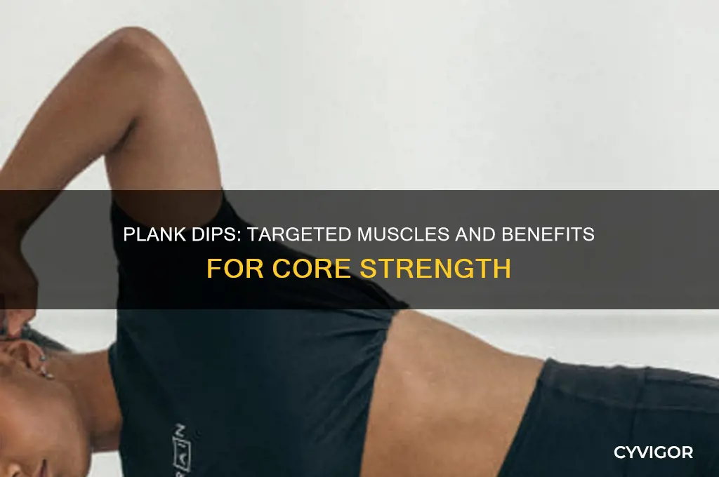what muscles do plank dips work