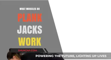 Plank Jacks: Target Muscles and Full-Body Benefits Explained