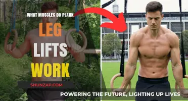 Plank Leg Lifts: Targeted Muscles and Core Strengthening Benefits