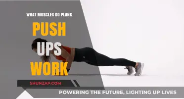 Plank Push-Ups: Targeted Muscles and Full-Body Benefits Explained