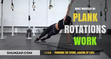 Plank Rotations: Target Muscles and Core-Strengthening Benefits Explained