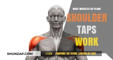 Plank Shoulder Taps: Muscles Worked and Benefits Explained