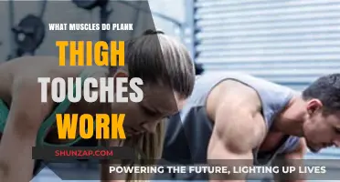 Plank Thigh Touches: Targeted Muscles and Benefits Explained