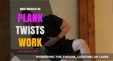 Plank Twists: Targeting Core, Obliques, and Shoulder Muscles Effectively