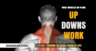 Plank Up Downs: Targeted Muscles and Full-Body Benefits Explained