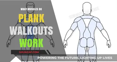 Plank Walkouts: Targeted Muscles and Full-Body Benefits Explained