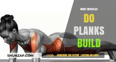 Unlocking Core Strength: The Muscle-Building Power of Planks Revealed