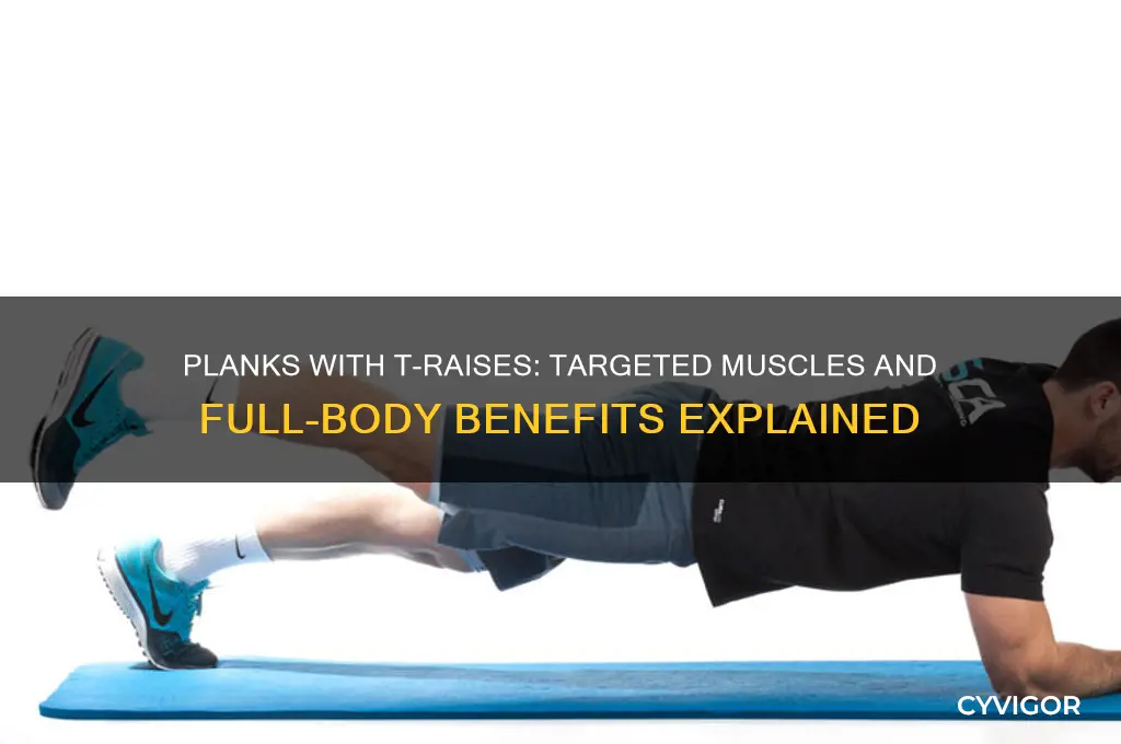 what muscles do planks with t raises work