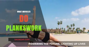 Planks: Building a Stronger Core and Beyond
