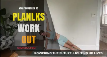 Plank Power: Unlocking Core, Shoulder, and Back Muscles in One Move