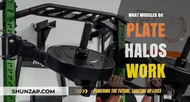 Plate Halos: Targeted Muscles and Benefits for Strength Training