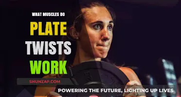 Plate Twists: Targeting Core Muscles for Strength and Stability