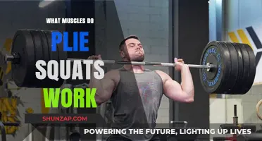 Plie Squats: Targeting Inner Thighs, Glutes, and Core Muscles Effectively