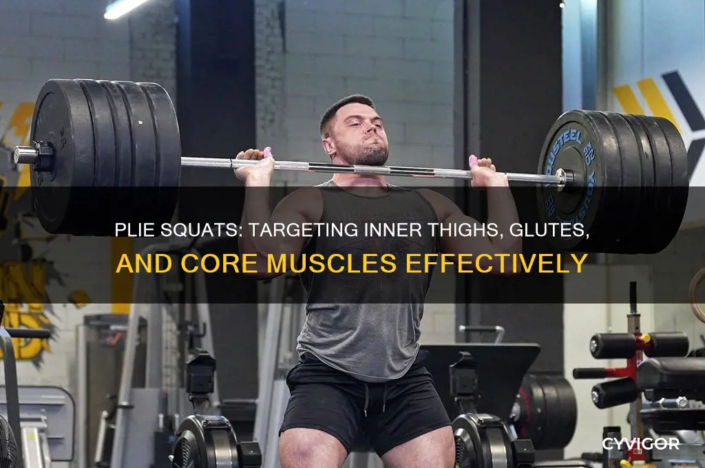 what muscles do plie squats work