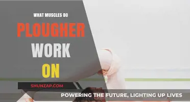 Plough Pose Benefits: Targeted Muscles and Flexibility Explained