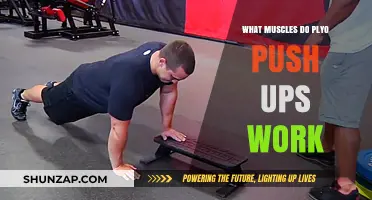Plyo Push-Ups: Targeted Muscles and Explosive Strength Benefits