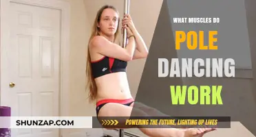 Pole Dancing Muscles: Unveiling the Full-Body Strength and Tone Benefits