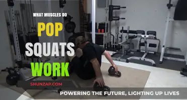 Pop Squats: Targeted Muscles and Benefits for Lower Body Strength