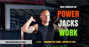 Power Jacks Workout: Target Muscles and Full-Body Benefits Explained