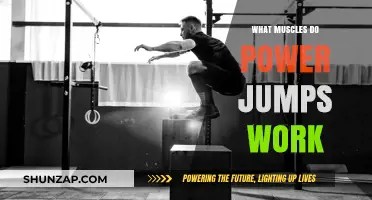 Power Jumps: Unlocking Lower Body Strength and Explosive Muscular Engagement