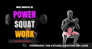 Power Squat Muscles: Unlocking Strength and Stability in Your Lower Body