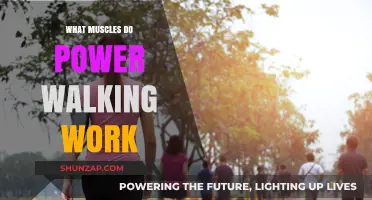 Power Walking Benefits: Targeted Muscles for Strength and Endurance