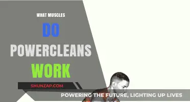 Powercleans: Unlocking Full-Body Strength and Muscular Engagement Explained