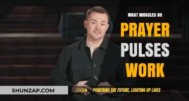 Prayer Pulses: Targeted Muscles and Benefits for Strength Training