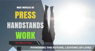Handstand Press Muscles: Core, Shoulders, and Upper Body Strength Explained