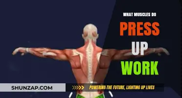 Press Ups: Unlocking the Muscles Behind This Powerful Bodyweight Exercise