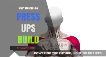 Unlocking Upper Body Strength: The Power of Press-Ups Revealed