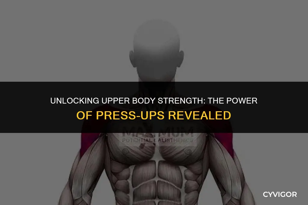 what muscles do press ups build