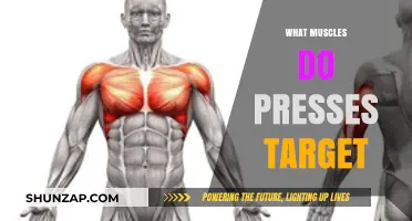 Presses: Targeting Your Muscles for Strength and Definition