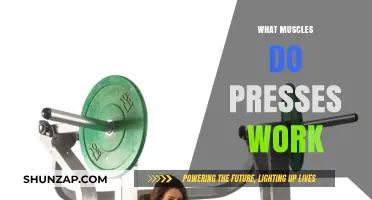 Muscles Targeted by Presses: A Comprehensive Guide to Strength Training