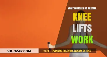 Pretzel Knee Lifts: Targeted Muscles and Benefits Explained