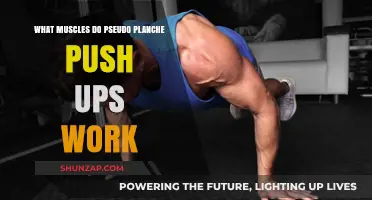 Pseudo Planche Push-Ups: Targeted Muscles and Strength Benefits Explained