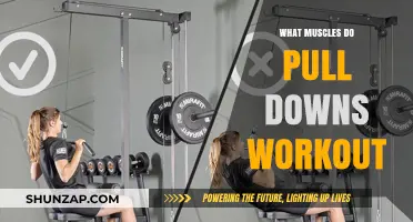 Pull Downs Workout: Targeted Muscles and Strength-Building Benefits