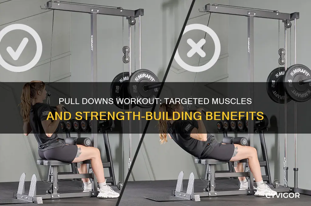 what muscles do pull downs workout
