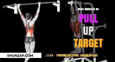 Pull-Up Power: Muscles Targeted and Strengthened by This Exercise