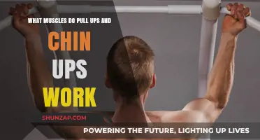 Pull-Ups vs. Chin-Ups: Muscles Worked and Strength Benefits