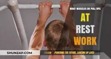 Pull-Ups at Rest: Targeted Muscles and Benefits Explained