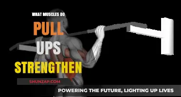 Pull-Ups Power: Muscles Strengthened by This Ultimate Upper-Body Exercise