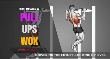 Pull-Ups: Target Muscles and Benefits for Upper Body Strength