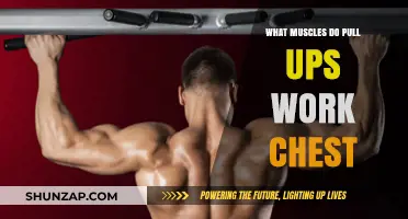 Pull-Ups and Chest Muscles: Unlocking Upper Body Strength and Definition