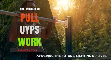 Pull-Ups: Target Muscles and Benefits for Upper Body Strength