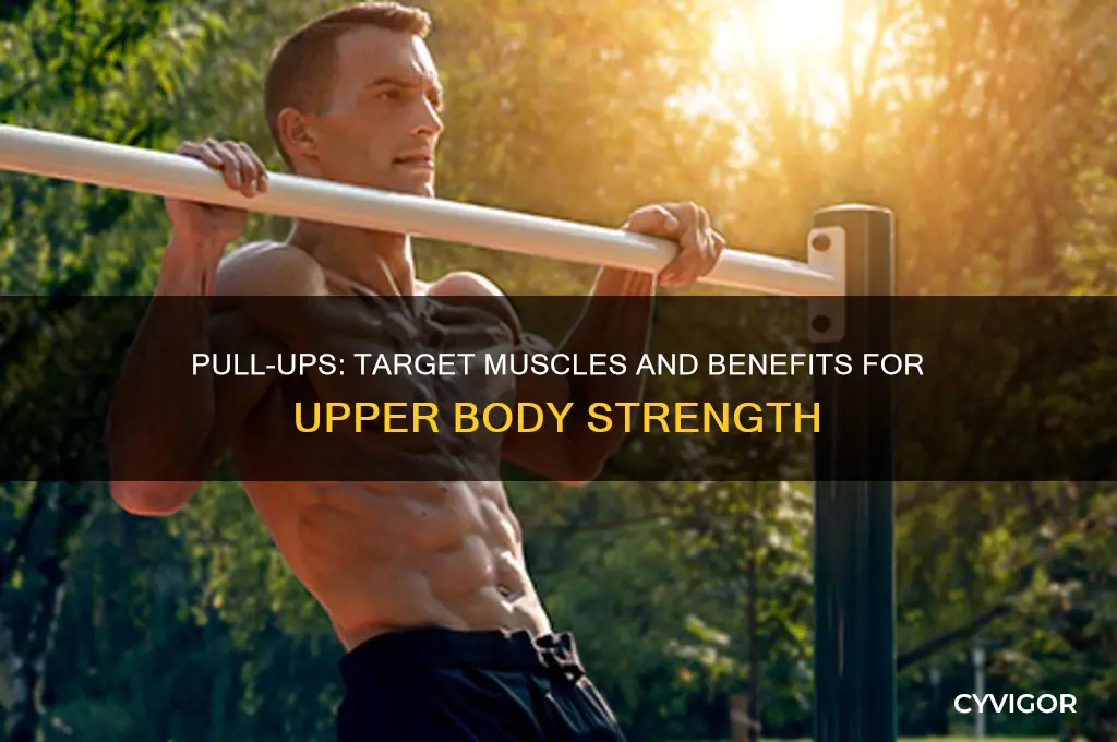 what muscles do pull uyps work