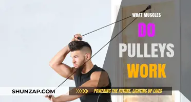 Pulleys in Fitness: Targeted Muscles and Effective Workout Benefits