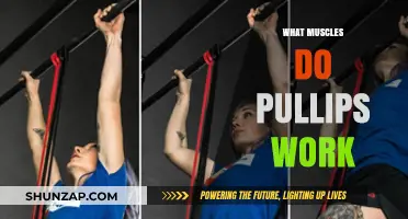 Pull-Ups Muscles Worked: A Comprehensive Guide to Targeted Strength Training