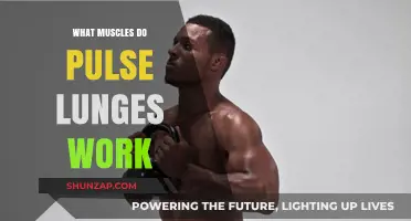 Pulse Lunges: Target Muscles and Benefits for Lower Body Strength